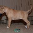 4 weeks old