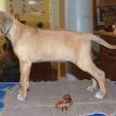 6 1/2 weeks old