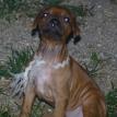 3 1/2 weeks old