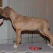 10 weeks old