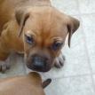 5 weeks old