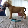 4 weeks old