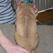 5 1/2 weeks old